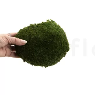 Preserved Pole Moss Nature Green (Bulk Box)