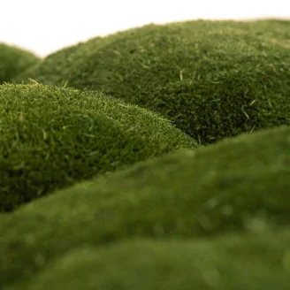 Preserved Pole Moss Nature Green (Bulk Box)