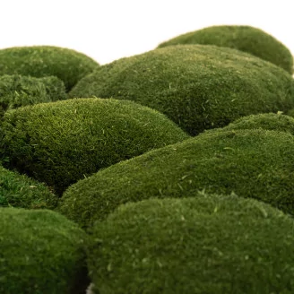 Preserved Pole Moss Nature Green (Bulk Box)