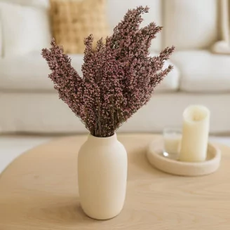 Preserved Heather Pink