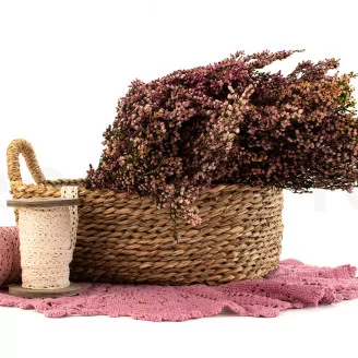 Preserved Heather Pink