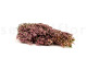 Preserved Heather Pink 6