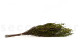Preserved Heather Green 9