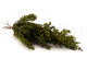 Preserved Heather - Bunch - Green 7