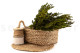 Preserved Heather Green 3