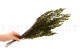 Preserved Heather Green 5
