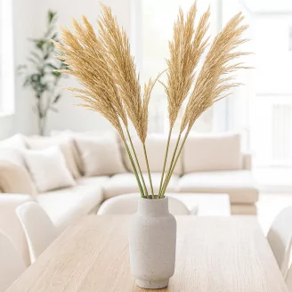 Preserved Pampa Grass