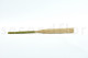 Preserved Pampa Grass 10