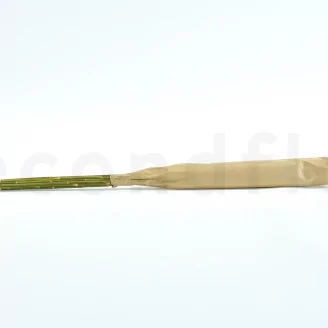 Preserved Pampa Grass