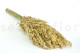 Preserved Pampa Grass 3