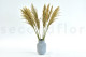 Preserved Pampa Grass - Ivory 7