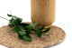 Preserved Ruscus (set of 6) 7