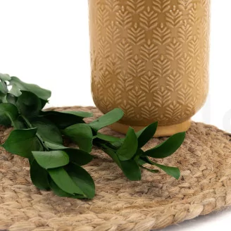 Preserved Ruscus (set of 6)