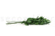 Preserved Ruscus (set of 6) 4