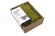 Preserved Reindeer Moss Lime Green (Creabox S) 2