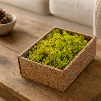 Preserved Reindeer Moss Lime Green (Creabox S)