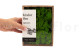 Preserved Reindeer Moss Light Green (Creabox S) 7