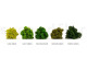 Preserved Reindeer Moss Lime Green (Creabox S) 10
