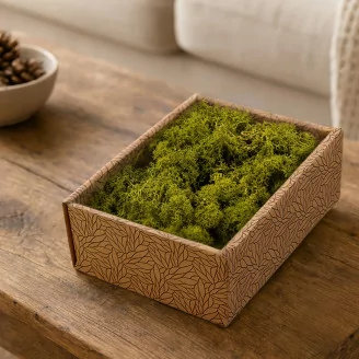 Preserved Reindeer Moss Medium Green (Creabox S)