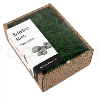 Preserved Reindeer Moss Nature Green (Creabox S)