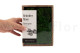Preserved Reindeer Moss Nature Green (Creabox S) 6