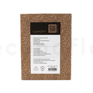 Preserved Reindeer Moss Nature Green (Creabox S)