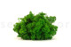 Preserved Reindeer Moss - Creabox S - Nature Green 3