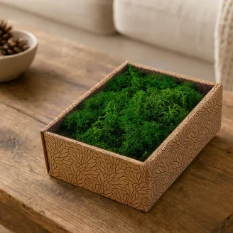 Preserved Reindeer Moss Nature Green (Creabox S)