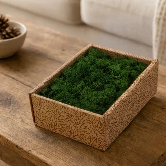 Preserved Reindeer Moss Forest Green (Creabox S)