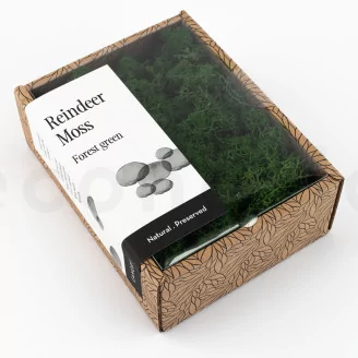 Preserved Reindeer Moss Forest Green (Creabox S)
