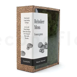 Preserved Reindeer Moss Forest Green (Creabox S)