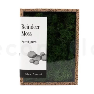 Preserved Reindeer Moss Forest Green (Creabox S)