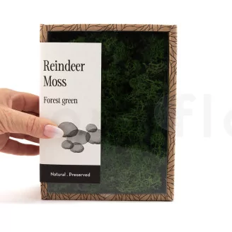 Preserved Reindeer Moss Forest Green (Creabox S)