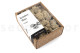 Preserved Reindeer Moss - Creabox S - Cream 2