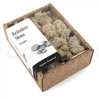 Preserved Reindeer Moss Cream (Creabox S)