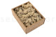 Preserved Reindeer Moss - Creabox S - Cream 5