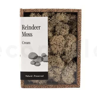 Preserved Reindeer Moss Cream (Creabox S)