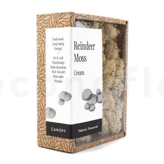Preserved Reindeer Moss Cream (Creabox S)