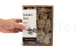 Preserved Reindeer Moss Cream (Creabox S) 6