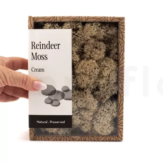 Preserved Reindeer Moss Cream (Creabox S)