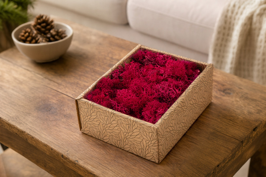 Preserved Reindeer Moss - Creabox S - Fuchsia