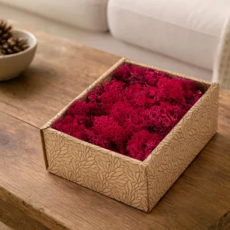 Preserved Reindeer Moss Fuchsia (Creabox S)