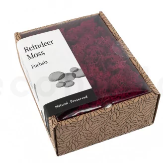 Preserved Reindeer Moss Fuchsia (Creabox S)