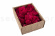 Preserved Reindeer Moss Fuchsia (Creabox S) 4