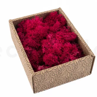 Preserved Reindeer Moss Fuchsia (Creabox S)