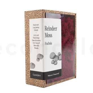 Preserved Reindeer Moss Fuchsia (Creabox S)