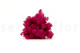 Preserved Reindeer Moss Fuchsia (Creabox S) 3