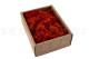 Preserved Reindeer Moss Orange (Creabox S) 5
