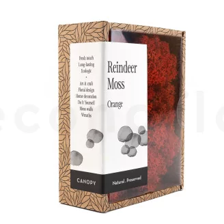 Preserved Reindeer Moss Orange (Creabox S)