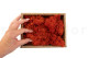 Preserved Reindeer Moss - Creabox S - Orange 4